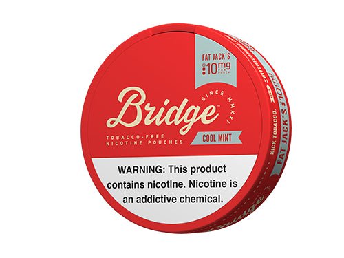 Bridge Cool Mint - 10mg Nicotine Pouches - NicPouchesDirect.com