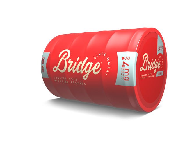 Bridge Cool Mint - 4mg Nicotine Pouches - NicPouchesDirect.com